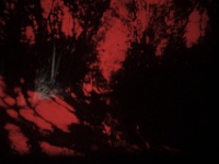 ZUR instantane angers -97052